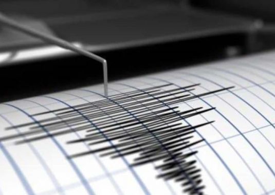 Sismo de 4.6 estremece la región sur y Santo Domingo