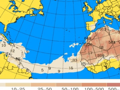Temperaturas máximas entre 33 y 35 grados y polvo del Sahara afectarán el país este miércoles