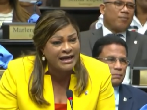 Diputada Altagracia de los Santos: "Cuando la gente se casa, es para tener relaciones sexuales"