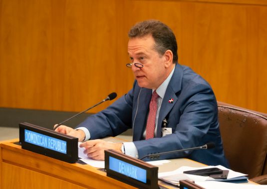 Canciller Bisonó: seguridad, recuperación institucional y desarrollo deben avanzar de manera conjunta en Haití