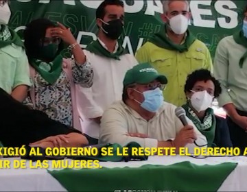 Miembros del Comit&eacute; Central del PLD exigen se aprueben las tres causales