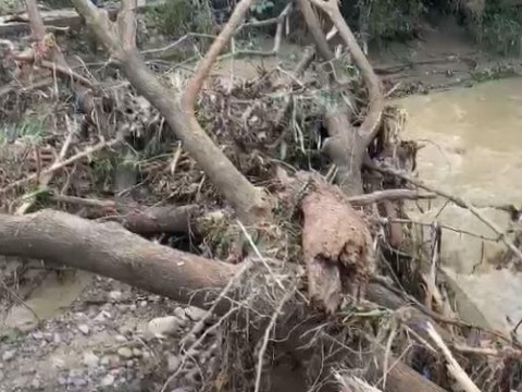 Crecida de r&iacute;o inunda decenas de viviendas en Jacagua de Santiago
