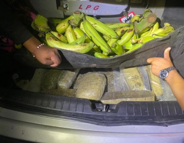 Ocupan 106 libras de presumible marihuana en Azua; arrestan dos personas