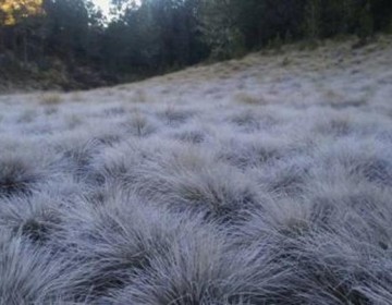 Se prev&eacute;n temperaturas de hasta -4 grados en &aacute;reas como el Pico Duarte