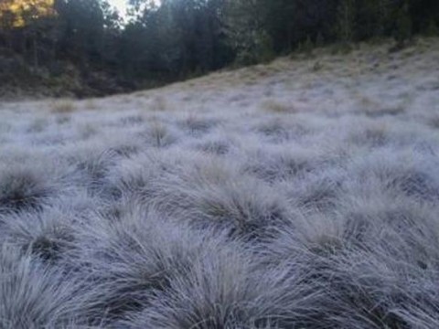 Se prev&eacute;n temperaturas de hasta -4 grados en &aacute;reas como el Pico Duarte