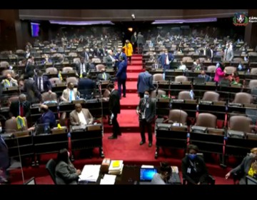 Diputados convierten en ley proyecto de desafectaci&oacute;n de inmueble en Santo Domingo Norte