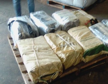 Confiscan 250 kilos de coca&iacute;na en puerto espa&ntilde;ol procedente de Rep&uacute;blica Dominicana