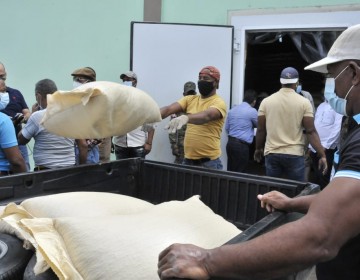 Inician entrega semillas a productores habichuelas de San Juan 