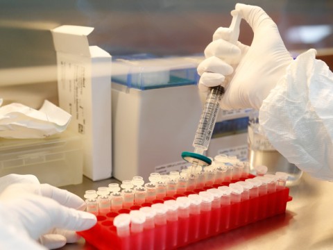 Los 4 voluntarios que se sometieron al curso completo de la segunda vacuna rusa contra el coronavirus desarrollaron anticuerpos