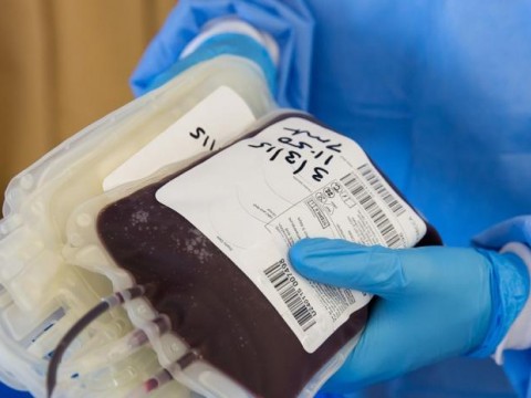 Cruz Roja habilita ventanilla de donaci&oacute;n y despacho r&aacute;pido de sangre para lesionados en explosi&oacute;n