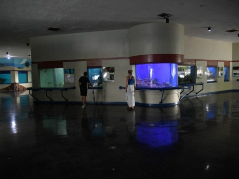 El Acuario Nacional entrar&aacute; en un proceso de remodelaci&oacute;n
