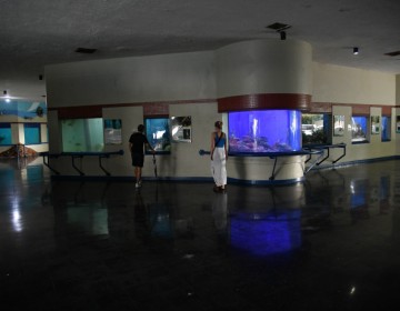 El Acuario Nacional entrar&aacute; en un proceso de remodelaci&oacute;n