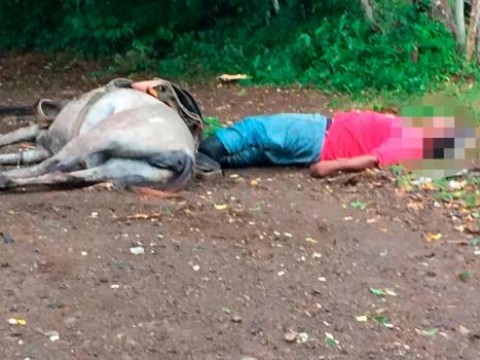 Descarga el&eacute;ctrica mata a un agricultor y su caballo en El Seibo