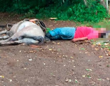 Descarga el&eacute;ctrica mata a un agricultor y su caballo en El Seibo