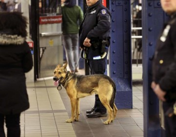 Nueva York enviar&aacute; 800 polic&iacute;as m&aacute;s al metro para impedir la evasi&oacute;n en el pago de viajes