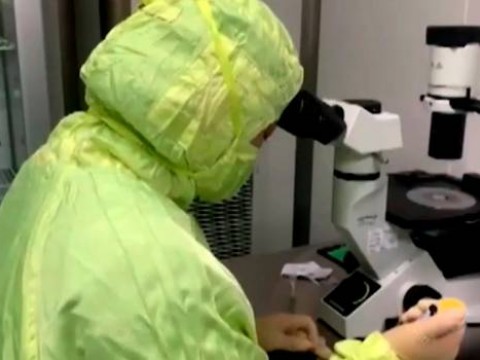 Reino Unido prueba con &eacute;xito vacuna contra el COVID-19 en monos y comienza aplicarse en humanos 