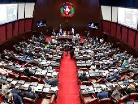 Diputados PLD acudir&aacute;n al TC en busca de ser reconocida como la segunda fuerza pol&iacute;tica
