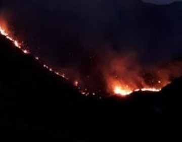 Se registra incendio forestal &iquest;coincidencia o acci&oacute;n criminal?