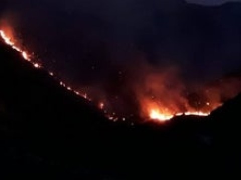 Se registra incendio forestal &iquest;coincidencia o acci&oacute;n criminal?