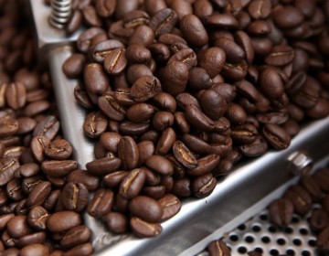 Gobierno dispone RD$1,000 millones en pr&eacute;stamos a tasa cero para productores de caf&eacute;