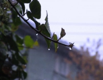 Lluvias d&eacute;biles y temperaturas agradables para este jueves