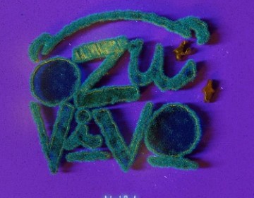 Ozuna lanza su &aacute;lbum en vivo OZU VIVO y anuncia su esperada gira GLOBAL &acute;&acute; OZUNA VIVO&acute;&acute; que inicia en Estados Unidos y Europa 
