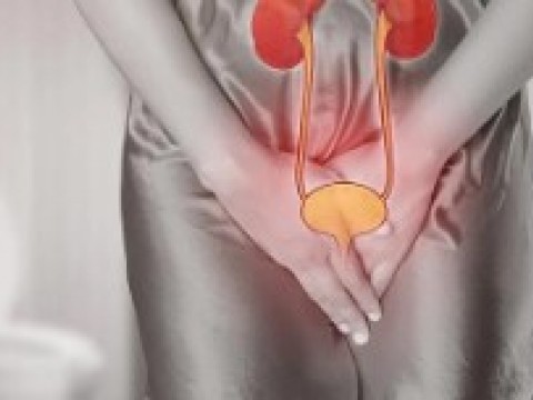 Incontinencia urinaria, una enfermedad de alto costo que no tiene cobertura