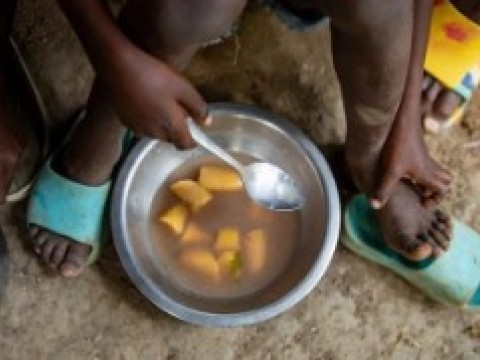 Casi 5 millones de haitianos sufren hambre, seg&uacute;n ONG Plan International