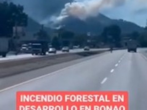 Reportan incendio forestal en Monumento Natural Saltos de Jima en Bonao