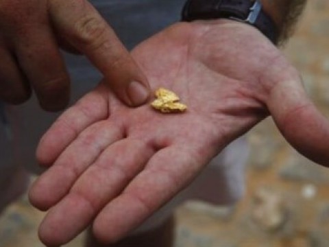 Militares desmantelan seis albergues usados para la miner&iacute;a ilegal en Amazonas venezolano