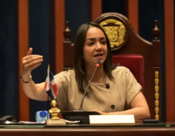 Faride Raful ser&aacute; la vicepresidenta del Senado