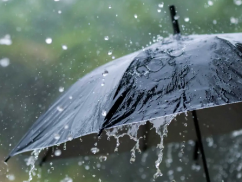 Martes fresco y con lluvias cari&ntilde;osas