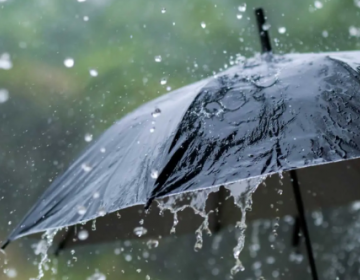 Martes fresco y con lluvias cari&ntilde;osas