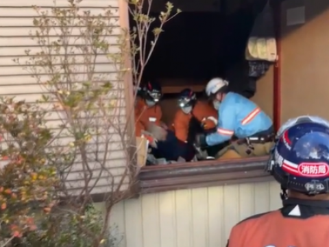 Un perro salva a una anciana en Jap&oacute;n 72 horas despu&eacute;s del terremoto