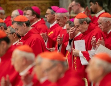 Cardenales se pronuncian contra guerras en Ucrania y Oriente Medio; piden la paz en el mundo