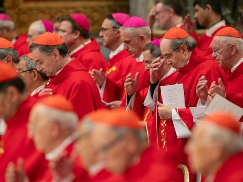 Cardenales se pronuncian contra guerras en Ucrania y Oriente Medio; piden la paz en el mundo