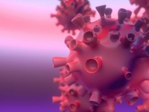 Coronavirus: Los contagios suben un 80 % en 24 horas en Rep. Dominicana hasta los 202 casos