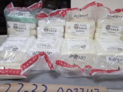 Autoridades incautan 48 paquetes de coca&iacute;na en Puerto Caucedo