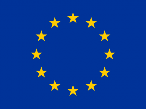 Misi&oacute;n Electoral de la Uni&oacute;n Europea para Elecciones Presidenciales y Congresuales llegar&aacute; al pa&iacute;s el 6 de junio