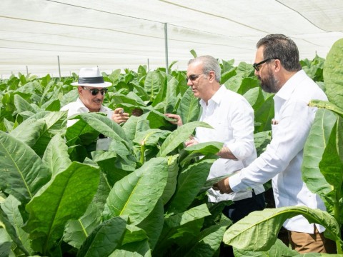 Presidente Abinader visita finca tabacalera &ldquo;La Milagrosa&rdquo; de Arturo Fuente en Monte Plata para replicar su moderna y avanzada tecnolog&iacute;a en otras partes del pa&iacute;s en la producci&oacute;n de capa