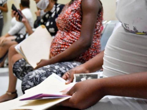Unos 600 activistas rechazan medidas contra haitianas embarazadas