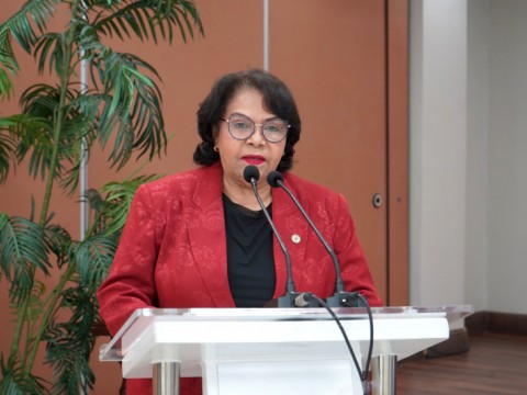 Emma Polanco dice aumento salarial era un incentivo por la carga de trabajo en la C&aacute;mara de Cuentas
