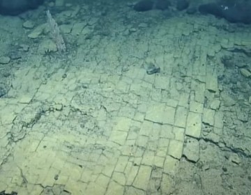 Descubrieron un “camino de ladrillos” en el fondo del océano Pacífico, ¿de qué se trata realmente?