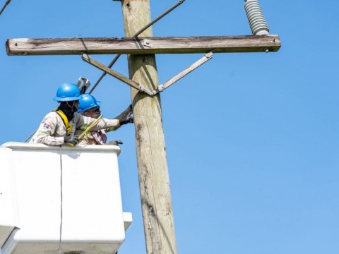 ETED realizar&aacute; jornadas de mantenimiento para fortalecer la red de transmisi&oacute;n el&eacute;ctrica