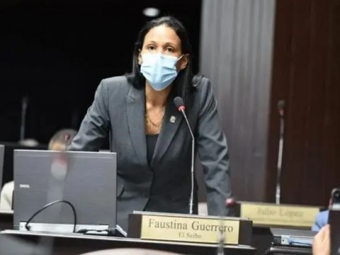 Allanan casa diputada PRM por El Seibo