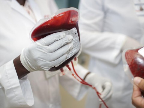 Red de Donantes de Fundaci&oacute;n LASO y FACCI se unen para celebrar el D&iacute;a Mundial del Donante de Sangre
