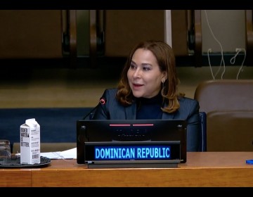 Ministra de la Mujer destaca ante la ONU que la conectividad y alfabetizaci&oacute;n digital de las mujeres es una prioridad del gobierno dominicano