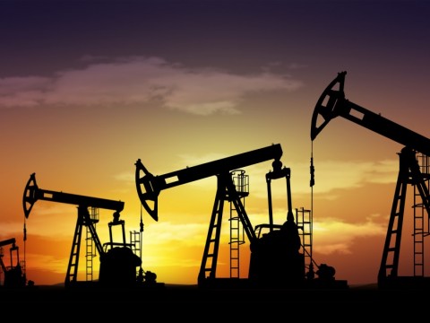 EEUU liberar&aacute; parte de sus reservas de petr&oacute;leo en coordinaci&oacute;n con otros pa&iacute;ses