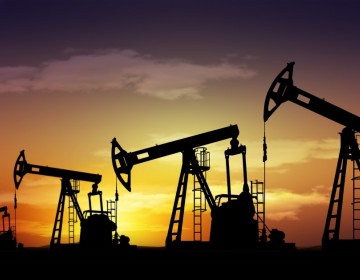 EEUU liberar&aacute; parte de sus reservas de petr&oacute;leo en coordinaci&oacute;n con otros pa&iacute;ses