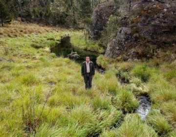Ministerio de Medio Ambiente reitera cese definitivo de cultivo de ciclo corto en Valle Nuevo 